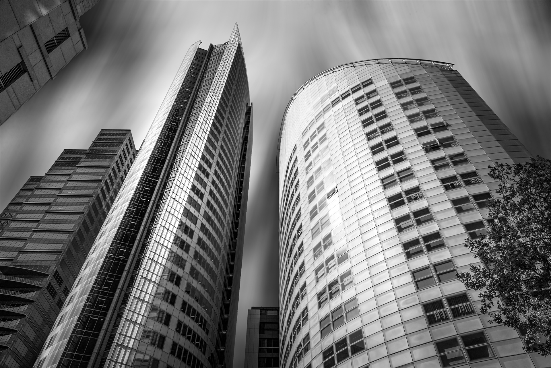 Sydney CBD building taken from the ground in Black and White