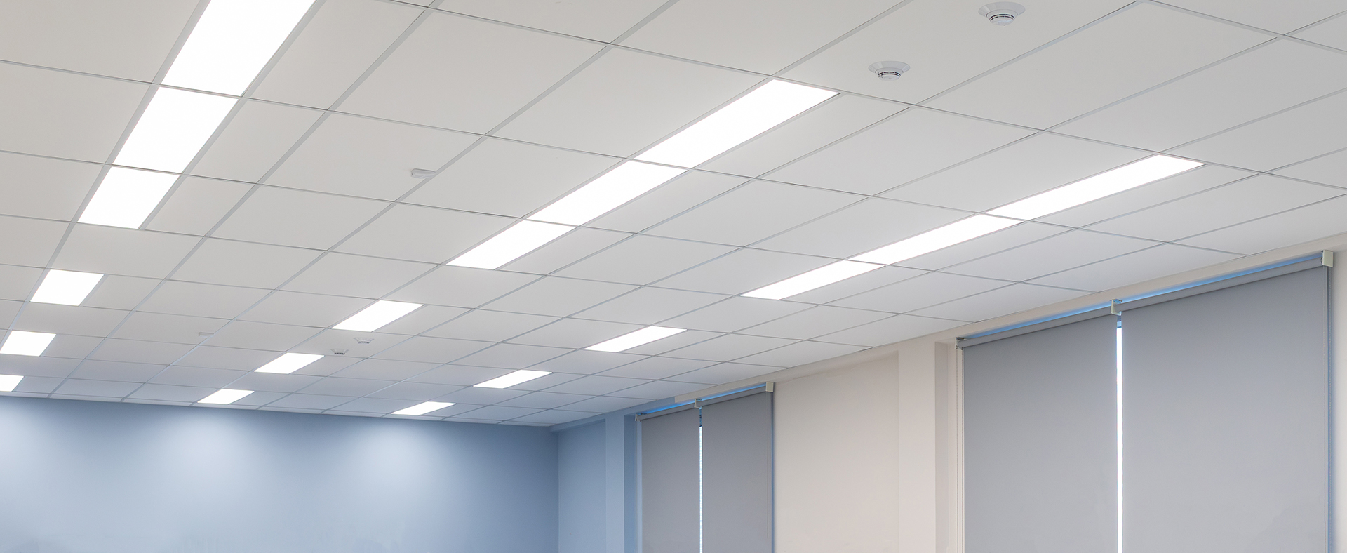 Commercial office LED lighting integrated with automated roller blinds for daylight harvesting, glare control and energy-efficient lighting management by WR8Tech.