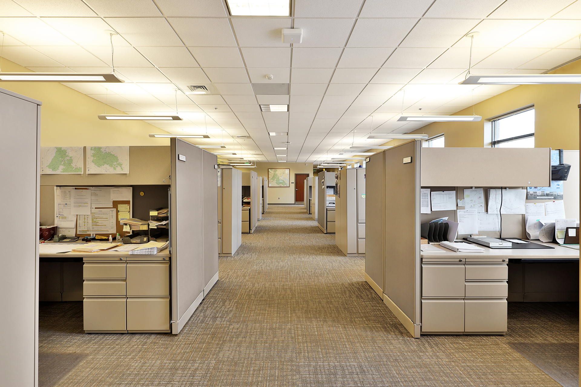 Modern commercial office with suspended LED lighting, workstation lighting zones and intelligent lighting controls for improved energy efficiency.